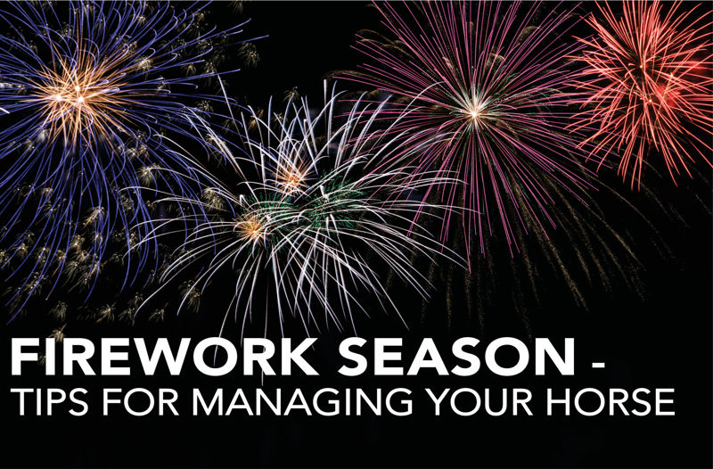 Firework Season - Tips for managing your horse